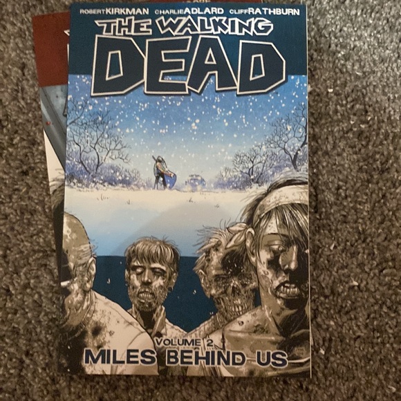 The Walking Dead - Volumes 1-4 - Picture 3 of 5